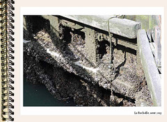 La Rochelle030