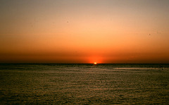 Sonnenuntergang an der Tampa Bay ( V )