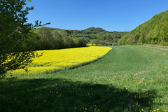im Rühlerbach Tal