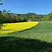 im Rühlerbach Tal