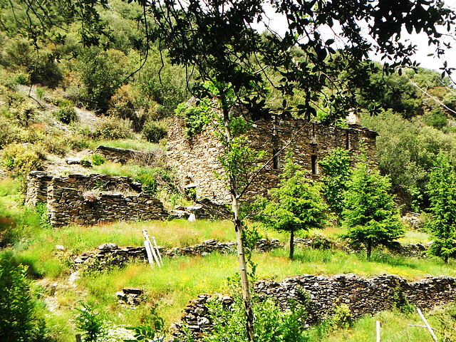 13LES PLANTIERS - Le vieux Mas