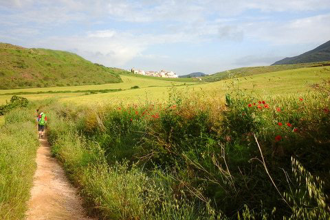 Au loin, Cirauqui (Navarre, Espagne)