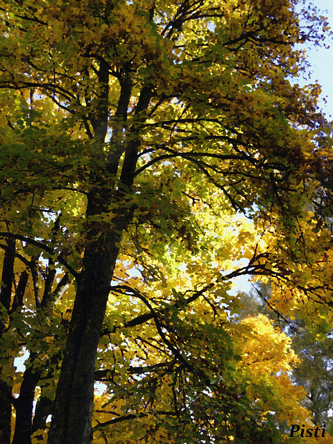 Farben im Herbst