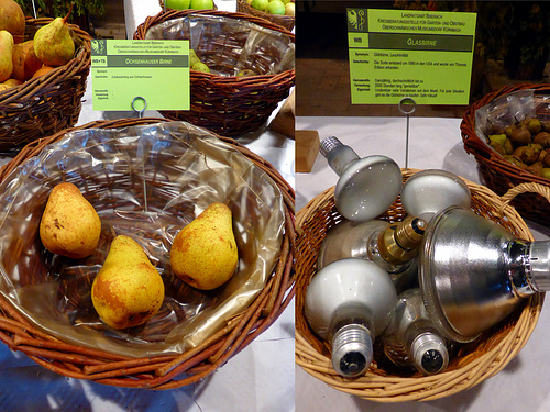 Birnen-Ausstellung