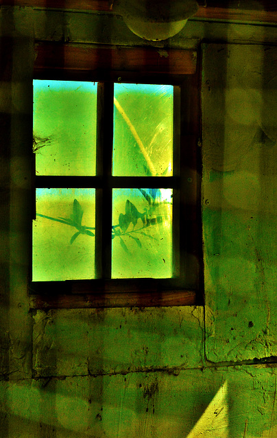 And Through My Favourite Windows And Through My Favourite Windows