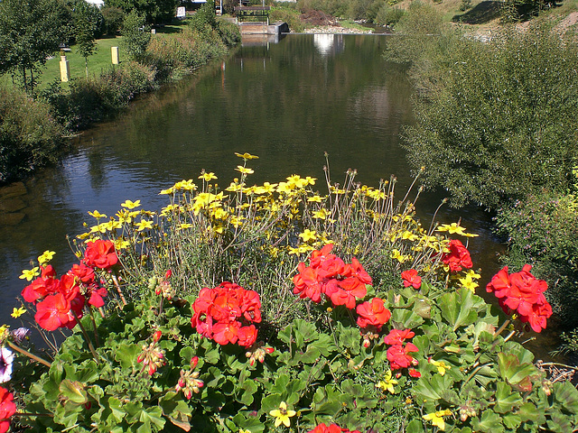 Sommer an der Kinzig bei Schiltach