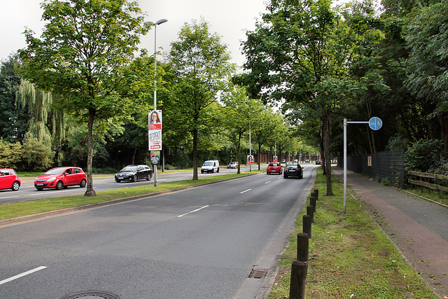 B226 Dorstener Straße (Wanne-Eickel) / 26.08.2017