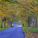 Autumn  road 3