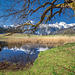 Frühling am Egelsee