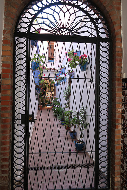 Fiesta de Patios, Cordoba