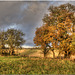 The Chilterns in Autumn