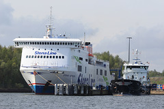STENA    HORIZON