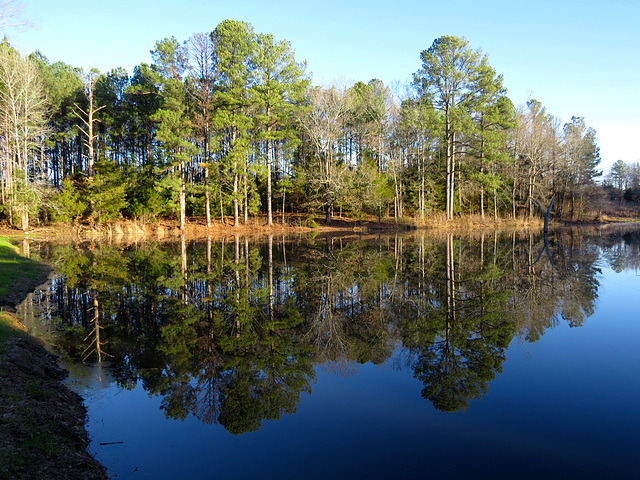 Reflections on a calm winter morning