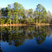 Reflections on a calm winter morning