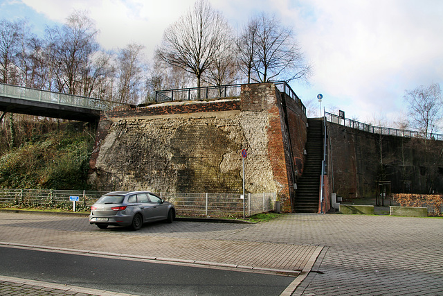 Widerlager einer ehem. Werksbahnbrücke (Westpark, Bochum) / 14.01.2019