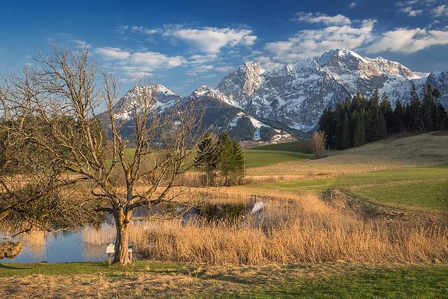 Naturschutzgebiet Egelsee im Abendlicht