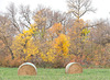 two bales