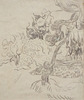 Detail of Pine Tree and Cypresses in the Garden of the Asylum Drawing by Van Gogh in the Metropolitan Museum of Art, July 2023