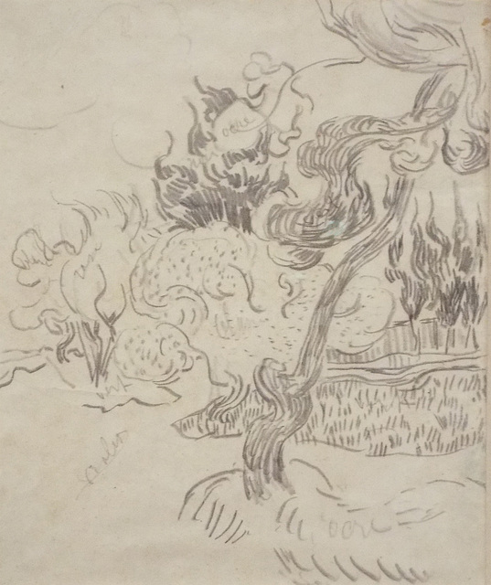 Detail of Pine Tree and Cypresses in the Garden of the Asylum Drawing by Van Gogh in the Metropolitan Museum of Art, July 2023