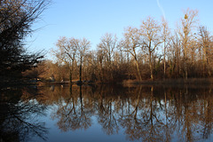 paysage d' hiver dans l' oise .....