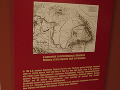 IMG 8534