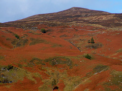 #20 October at Loch Rannoch