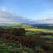 Northumberland Landscape...