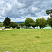 Am Salemer Schlosssee