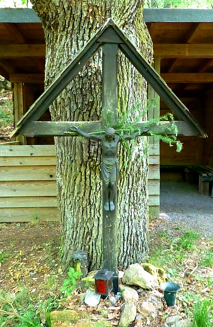 Auf dem medizinischen Kurwanderweg MK III blau