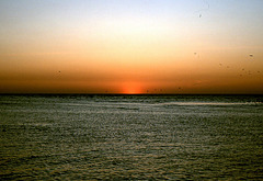 Sonnenuntergang an der Tampa Bay ( VI )