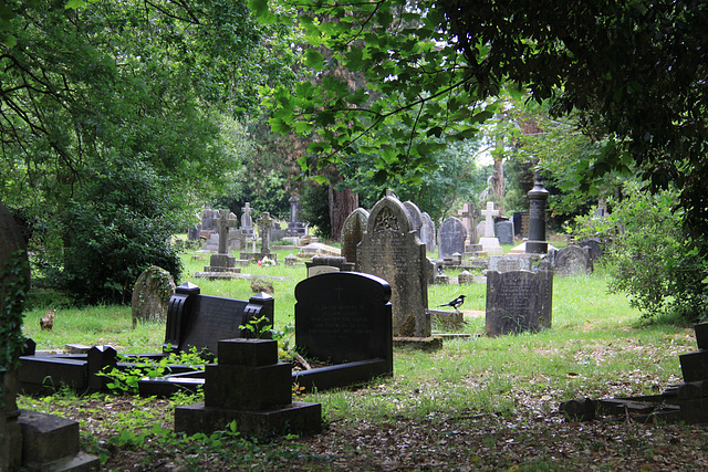 Cathays Cemetery