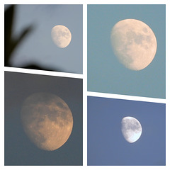la lune de fin Juin