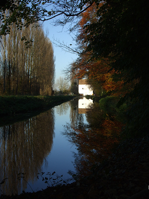 Anglesey Abbey: view towards Lode Mill 2010-11-16