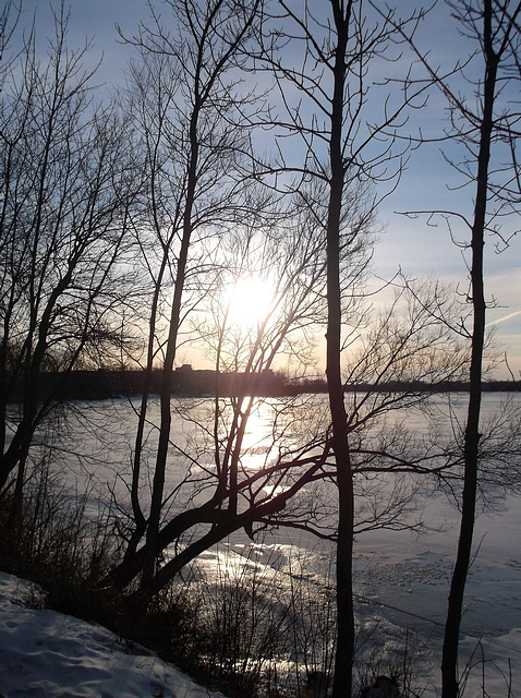 Un froid endormant de fin d'après-midi ....Sleepy cold day ending...