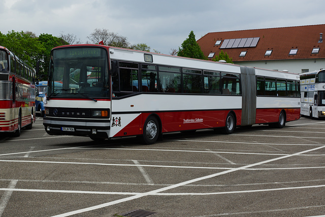 Omnibustreffen Sinsheim/Speyer 2017 360