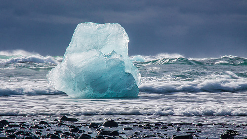 Le glacé naufragé