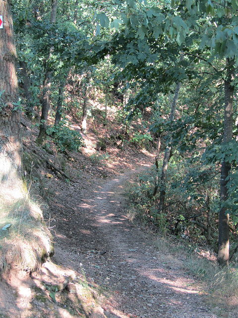 Weg um den Schlossberg