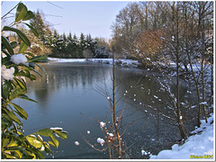 Première neige