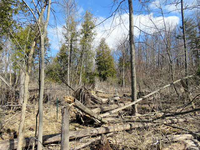 Beaver country.