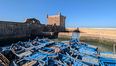 Barques bleutées / Blue fishing rowboats