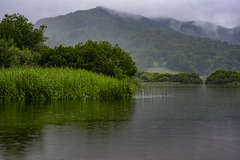 A wet July evening in The Lake District