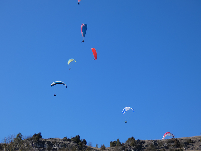 Drachenflieger am Burgberg in Kallmünz