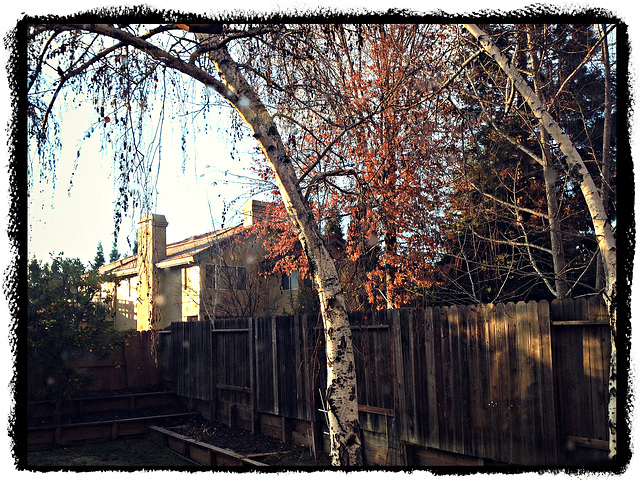 Beyond the fence