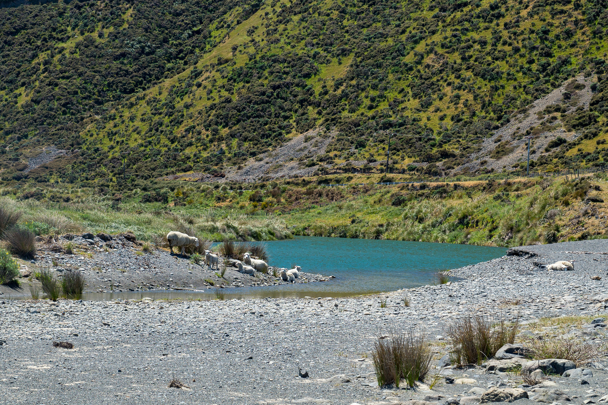 Neuseeland - Wainuiomata Beach