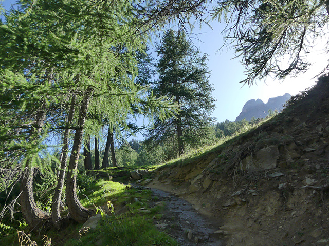 20180827 -0901 Randos Névache (Vallée de la Clarée 05) (138) al