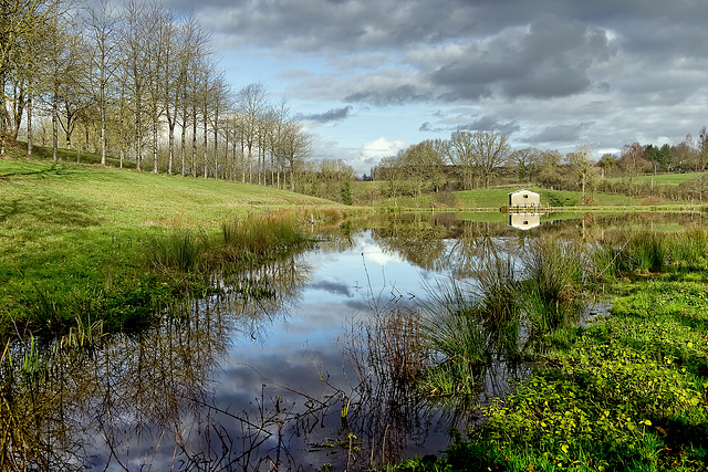 ETANG ABBAYE DE BELLEFONTAINE ( BEGROLLES)