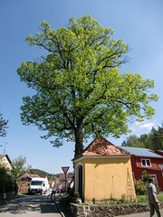 Hohenburg, Kapelle