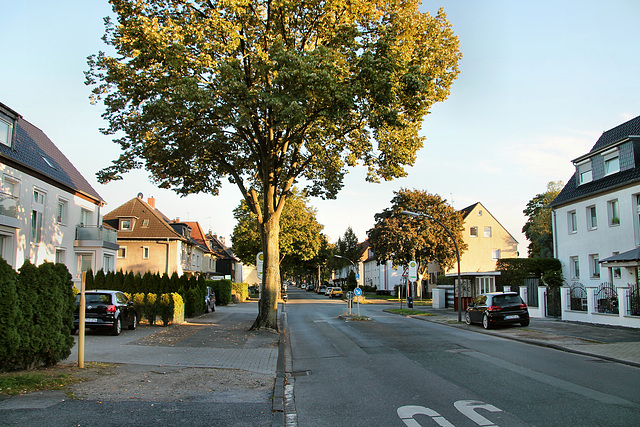 Bladenhorster Straße (Castrop-Rauxel) / 25.09.2021