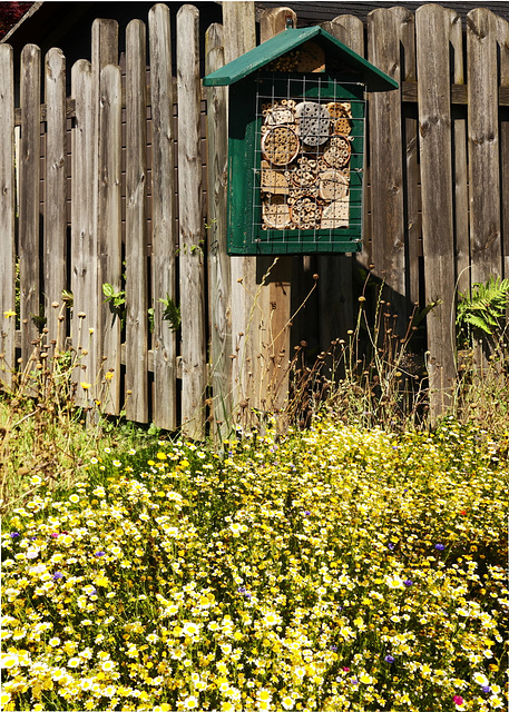 Blumenwiese mit Insektenhotel (PiP)