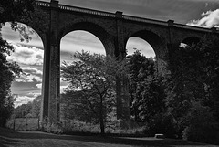 Viaduc du parc oriental à Maulévrier.